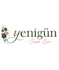 Yenigün Çiçek Evi
